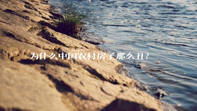 为什么中国农村房子那么丑？