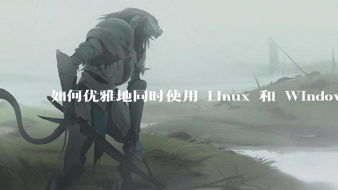 如何优雅地同时使用 Linux 和 Windows 两个系统?