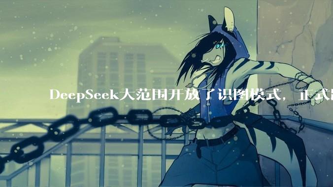 DeepSeek大范围开放了识图模式，正式跨入图文交互时代_测试_图片_用户