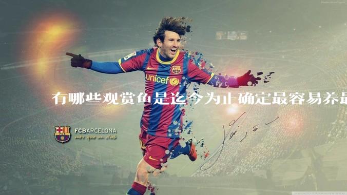 有哪些观赏鱼是迄今为止确定最容易养最不容易死的？