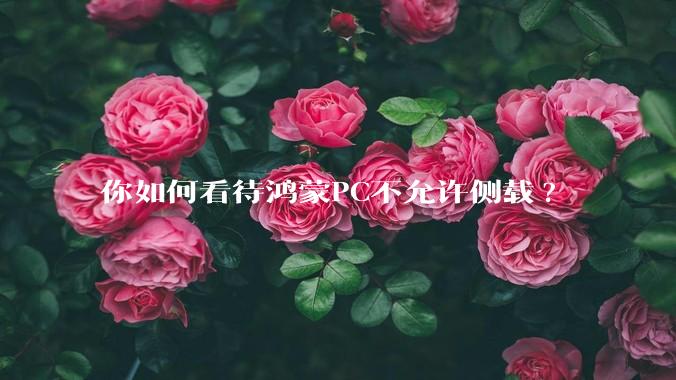 你如何看待鸿蒙PC不允许侧载?
