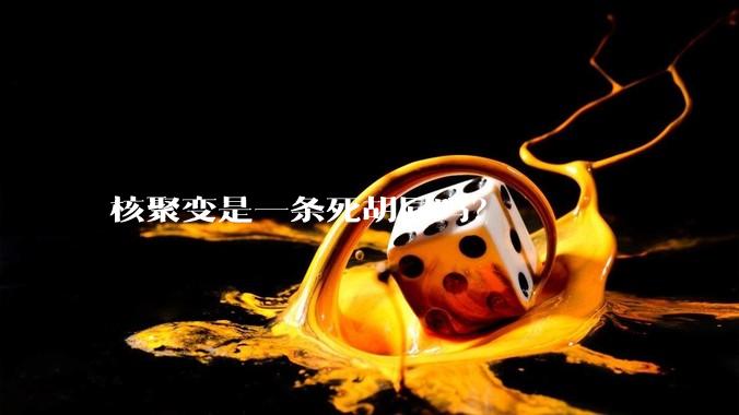 核聚变是一条死胡同吗？